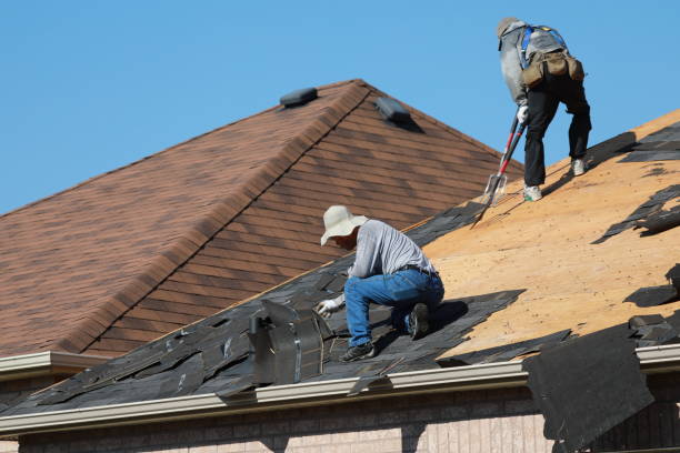 Best Asphalt Shingles Roofing  in Alexandria, MN