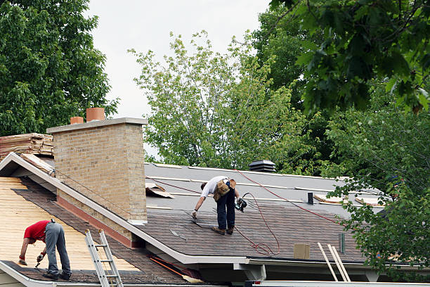 Best Roof Leak Repair  in Alexandria, MN
